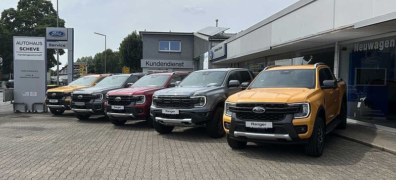 Ford Ranger Wildtrak V6 3.0 el. Rollo+360'-Kamera+Totwinekl+B&O+++